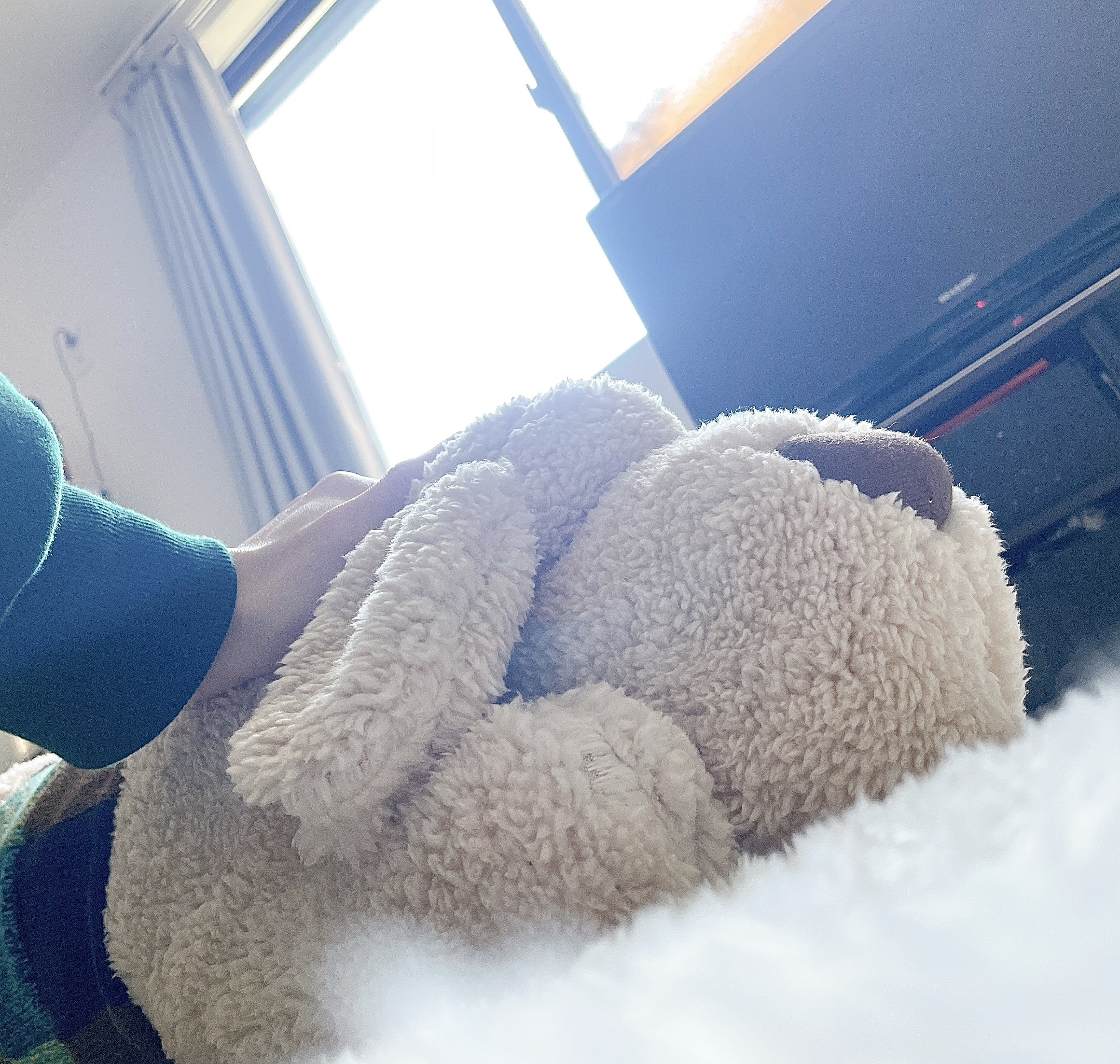 salut!(サリュ)のおすすめのアイテム「おひるねワンコ(ベージュ)」