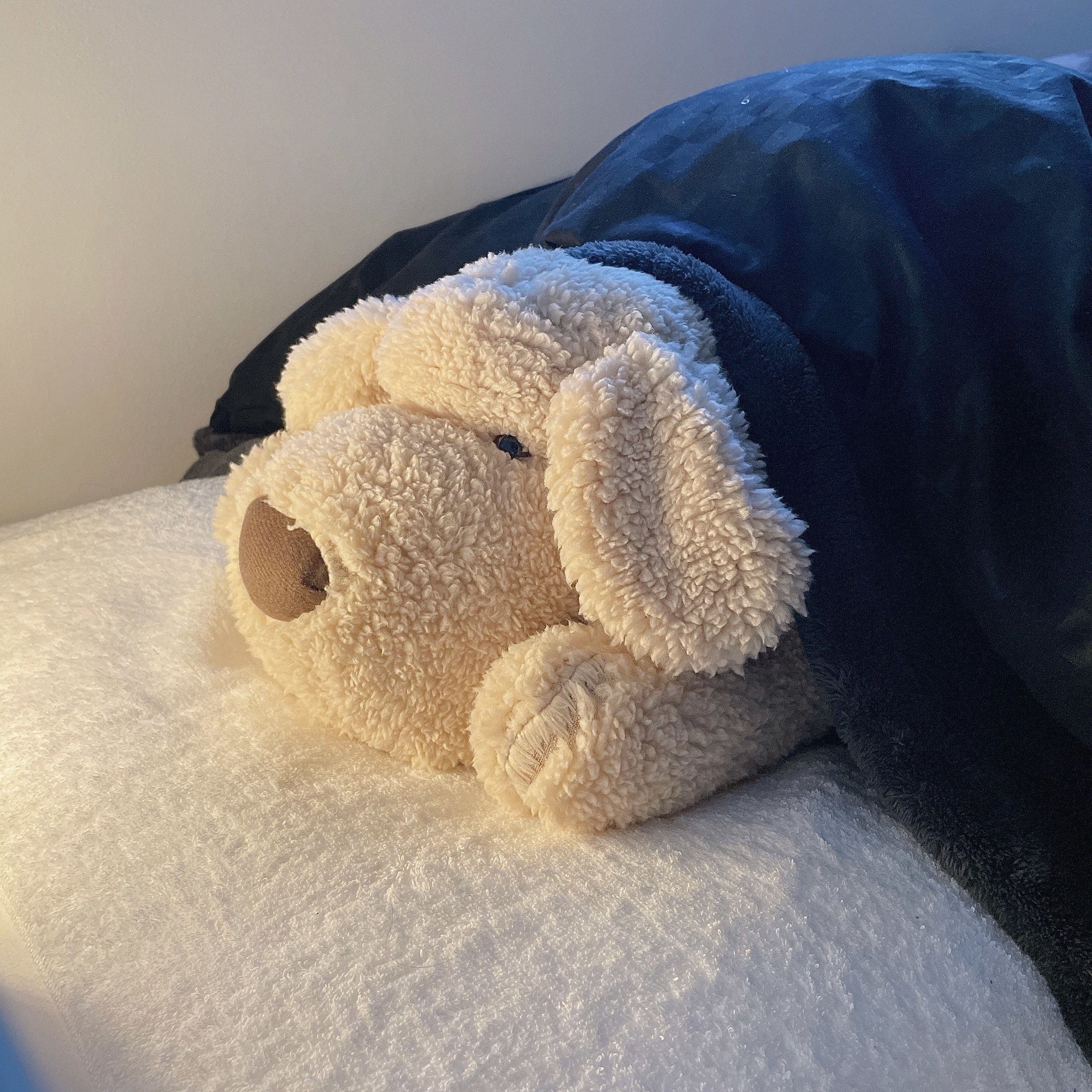 salut!(サリュ)のおすすめのアイテム「おひるねワンコ(ベージュ)」