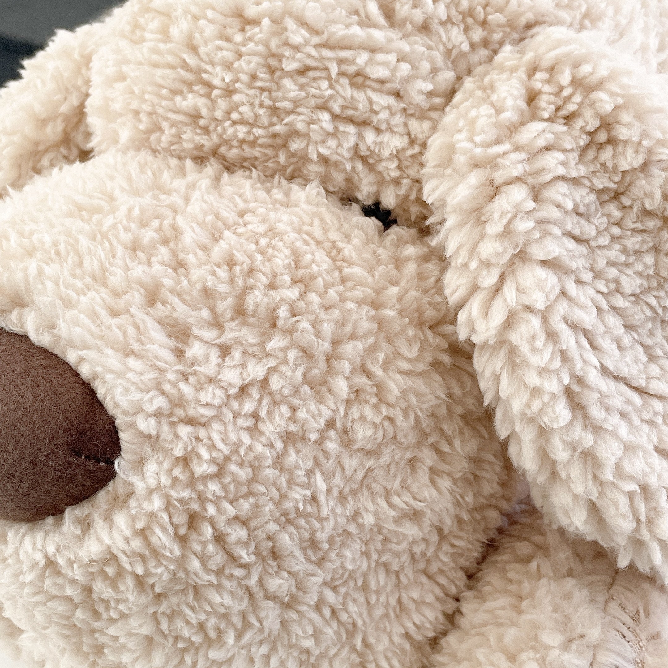 salut!(サリュ)のおすすめのアイテム「おひるねワンコ(ベージュ)」