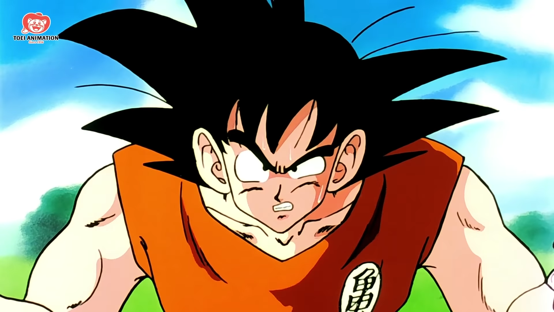 Goku in Dragon Ball Z