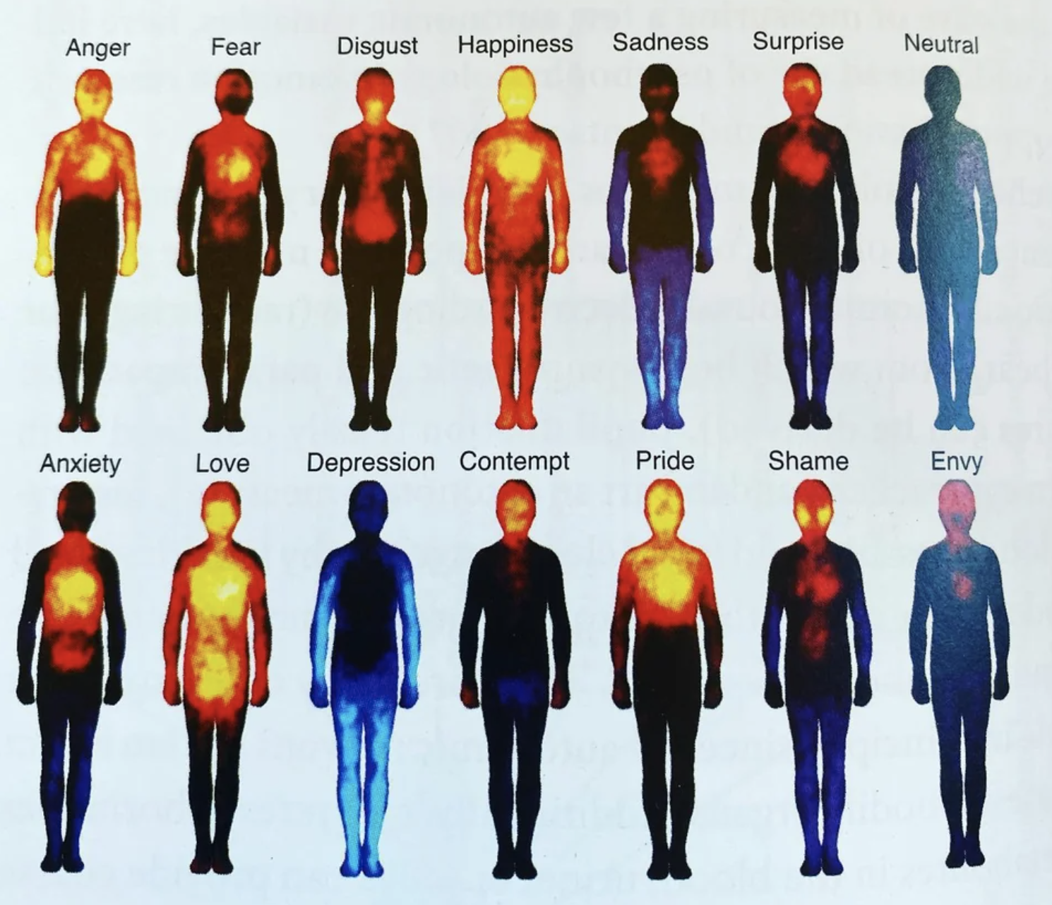 Emotions within the body