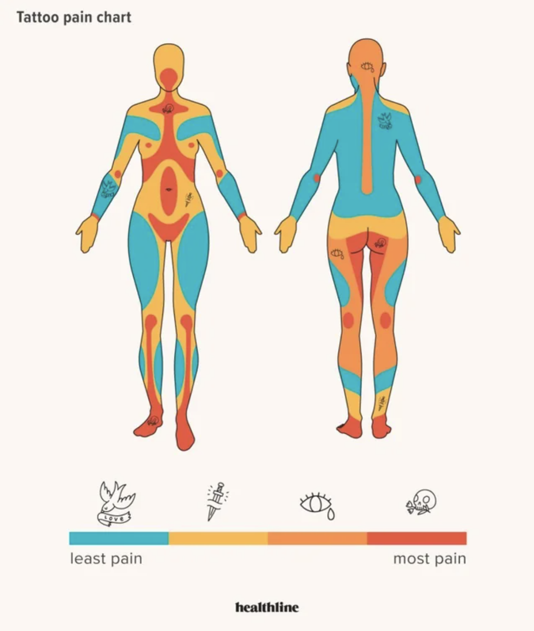 A chart showing where on the body tattoos are the most and least painful