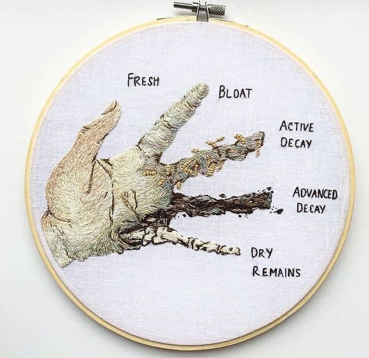 A needlepoint showing the stages of decay