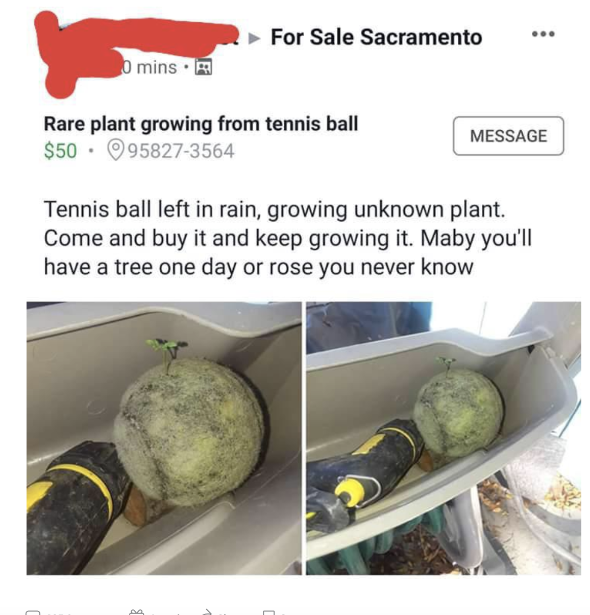 A person trying to sell a tennis ball left out in the rain