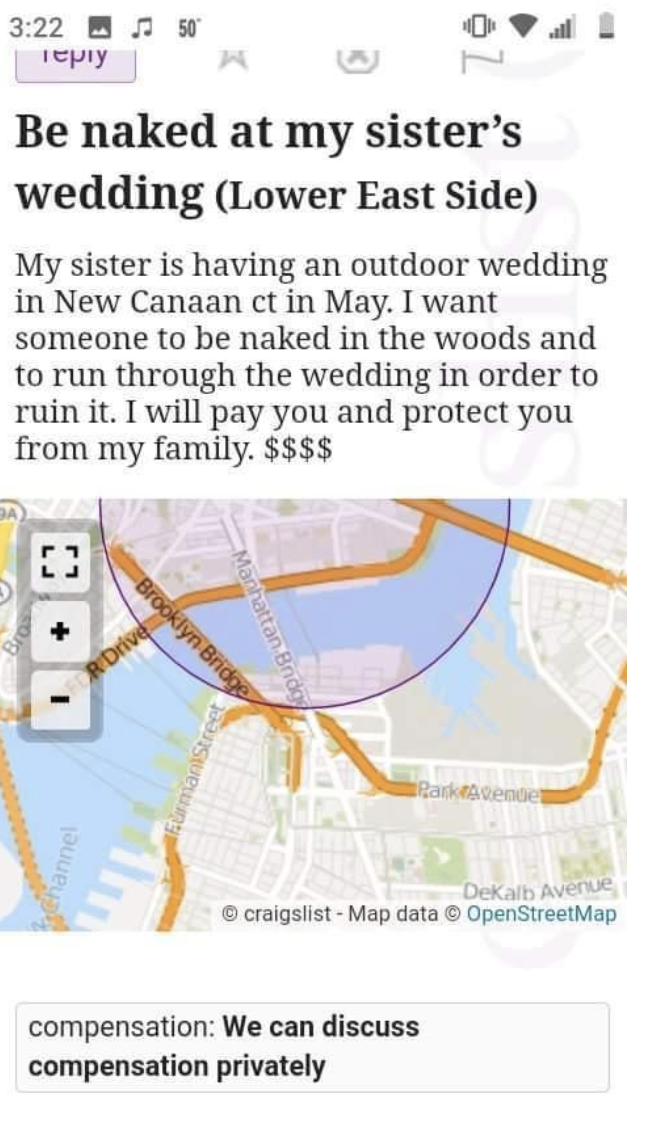 A woman trying to hire someone to be naked at her sister&#x27;s wedding