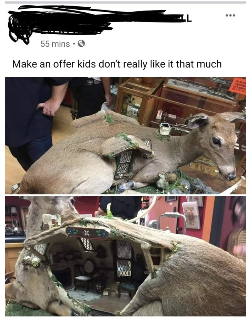 A person trying to sell a taxidermied reindeer with a dollhouse built inside its body
