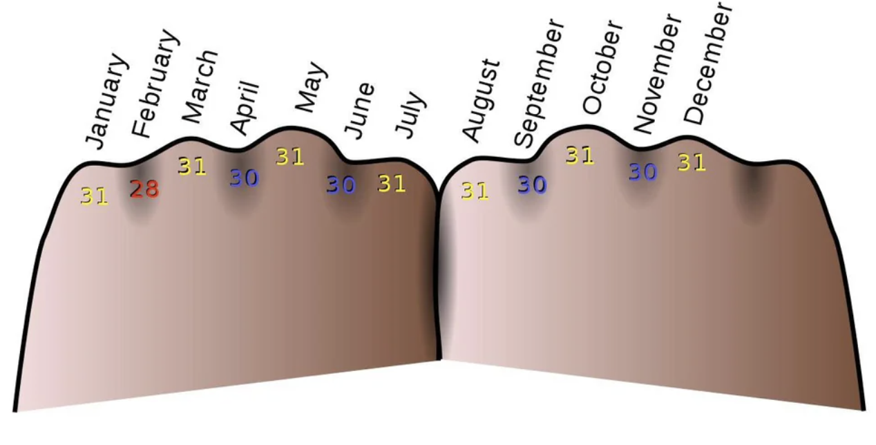 The knuckle trick for knowing how many days are in each month