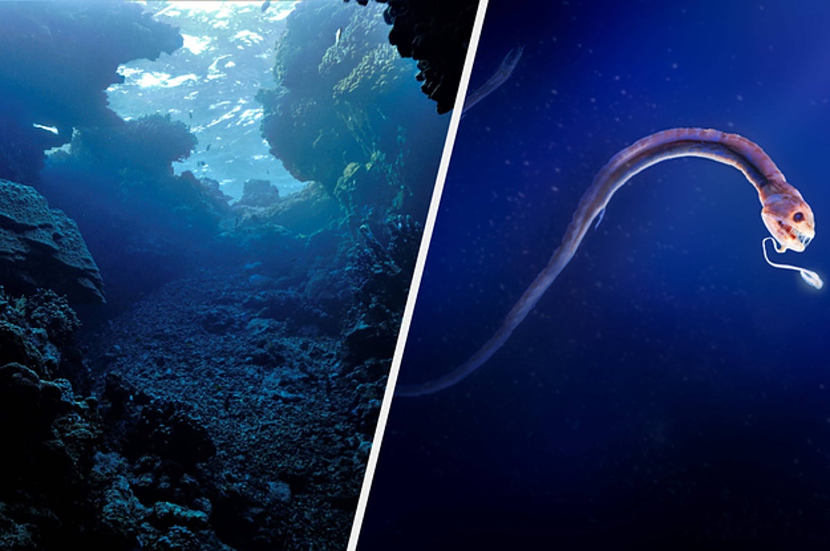 real deep ocean monsters