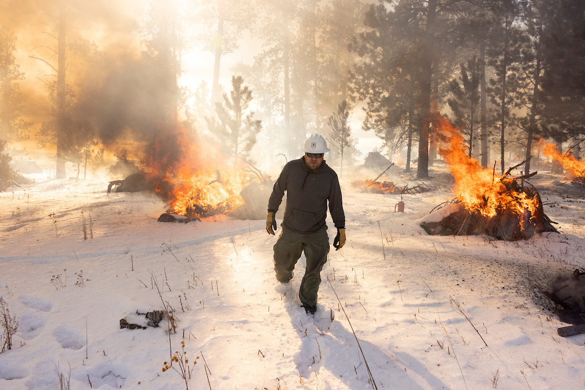 a forest service worker walks toward the camera through ankle-deep snow among piles of burning wood