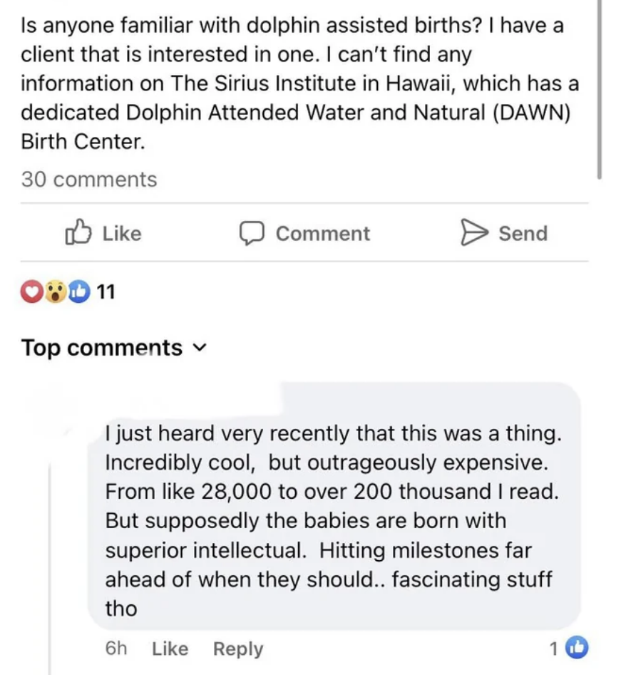 Someone asks if anyone is familiar with &quot;dolphin assisted births,&quot; and another person responds that they&#x27;re really expensive but produce more intelligent children