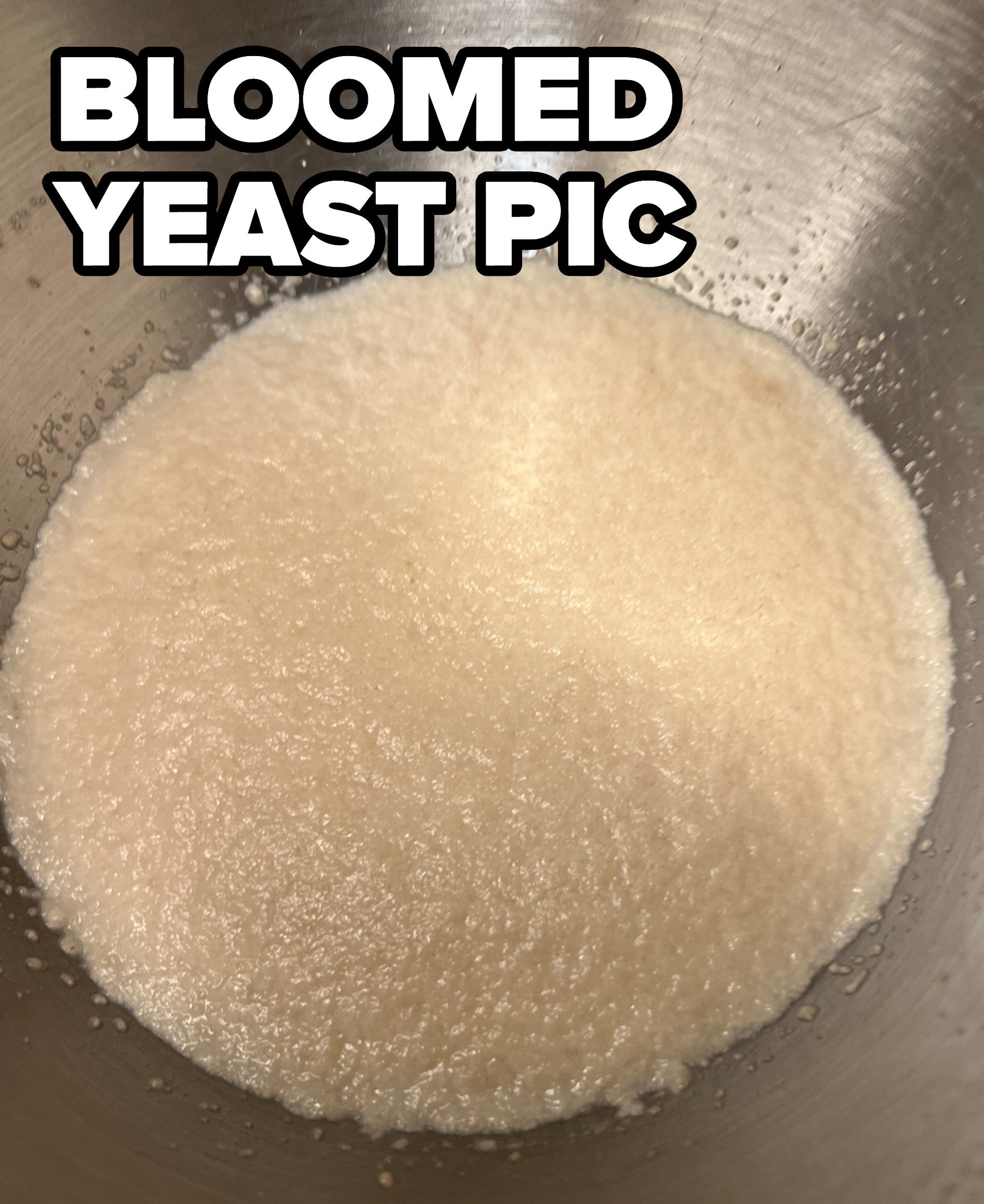 Bloomed yeast