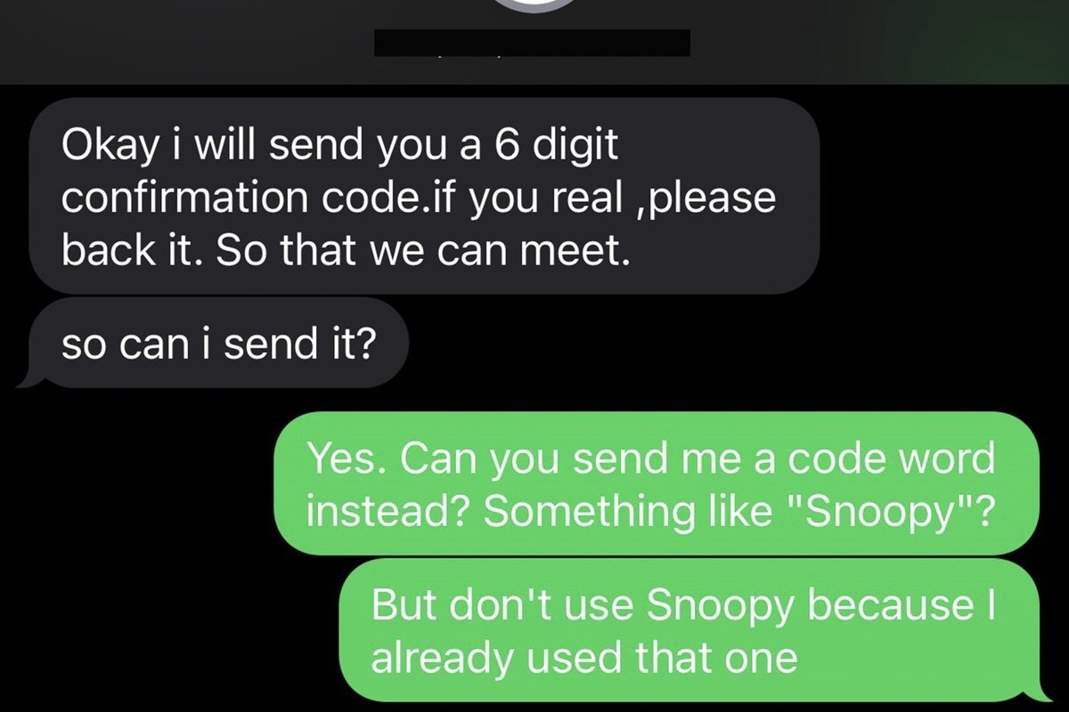 Person who asks a scammer for a fun access code like the word &quot;Snoopy&quot;