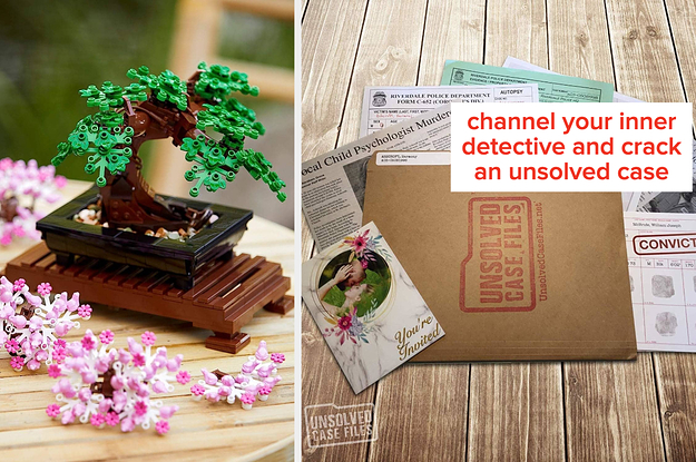 a lego bonsai tree, a murder mystery game