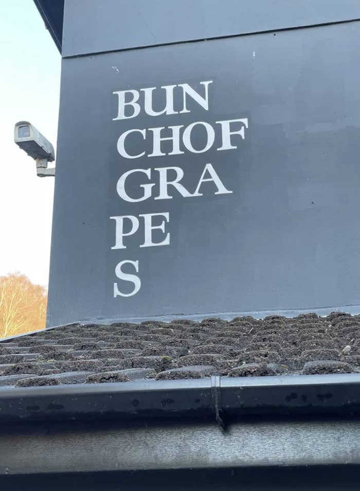 &quot;Brunch of grapes&quot; written in staggered letters