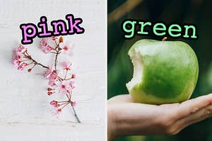 On the left, a cherry blossom branch labeled pink, and on the right, someone holding a Granny Smith apple with bites taken out of it labeled green