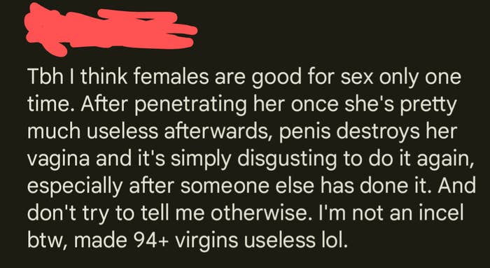 &quot;Females are good for sex only one time; penis destroys her vagina and it&#x27;s disgusting to do it again, especially after someone else has done it&quot;—and they&#x27;re &quot;not an incel btw&quot;