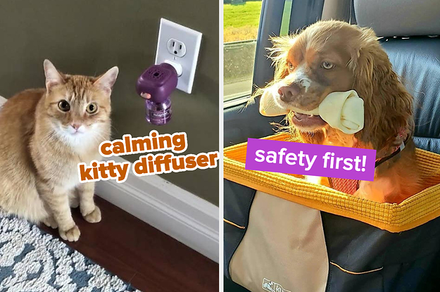 reviewer's cat next to the calming diffuser plug in / reviewer's dog riding in carrier