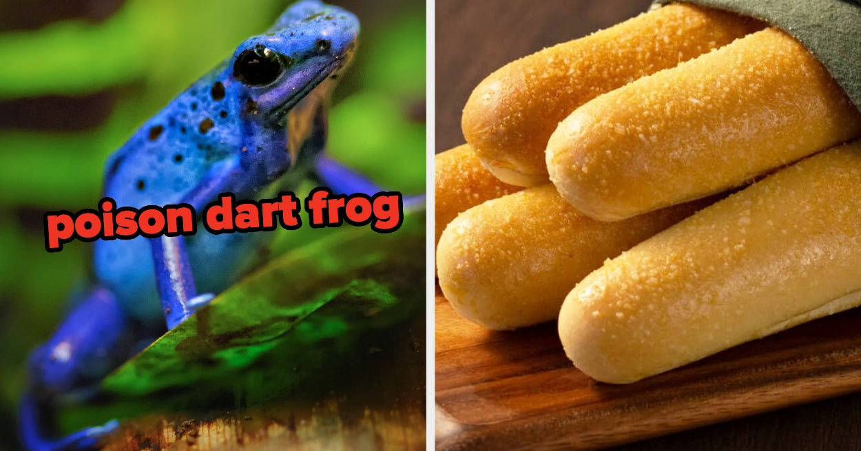Frog Theme Food A Culinary Exploration of Amphibian Delight