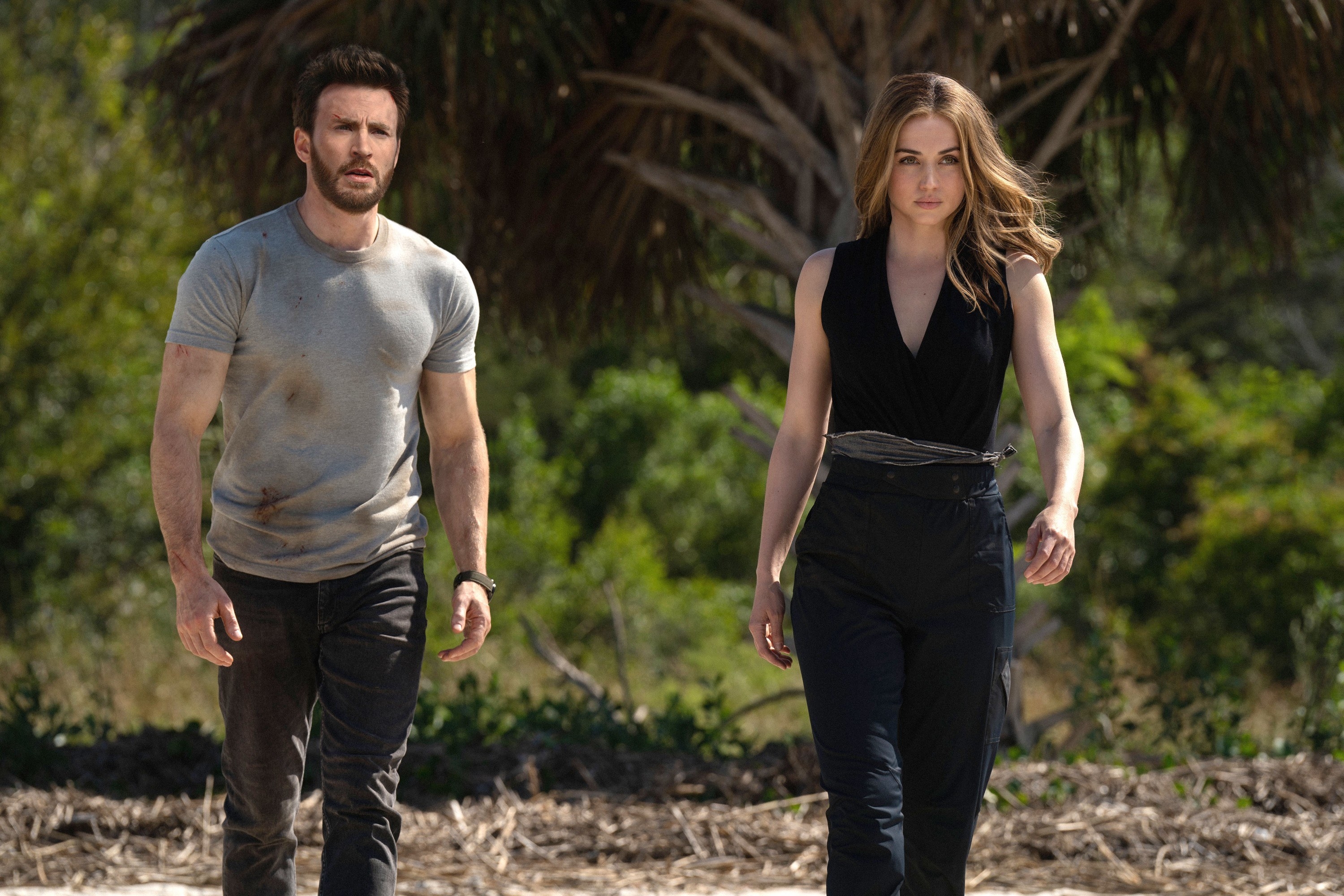 A man and a woman walk on a beach