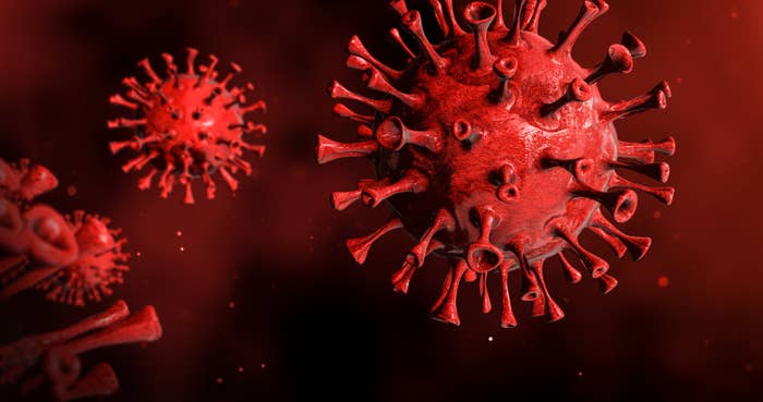 A rendering of what the coronavirus looks like