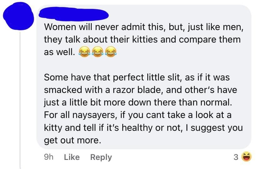 &quot;Some have that perfect little slit, as if it was smacked with a razor blade, and others have just a little bit more down there than normal; if you can&#x27;t take a look at a kitty and tell if it&#x27;s healthy or not, I suggest you get out more&quot;