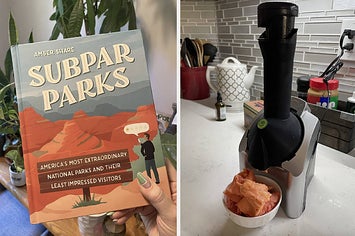 subpar parks book and a soft serve maker
