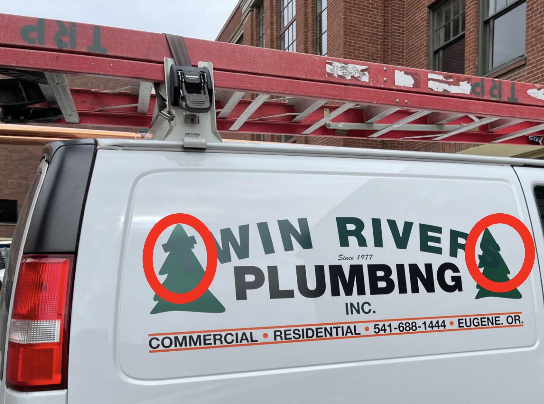 A plumbing logo with two trees on the side of a van