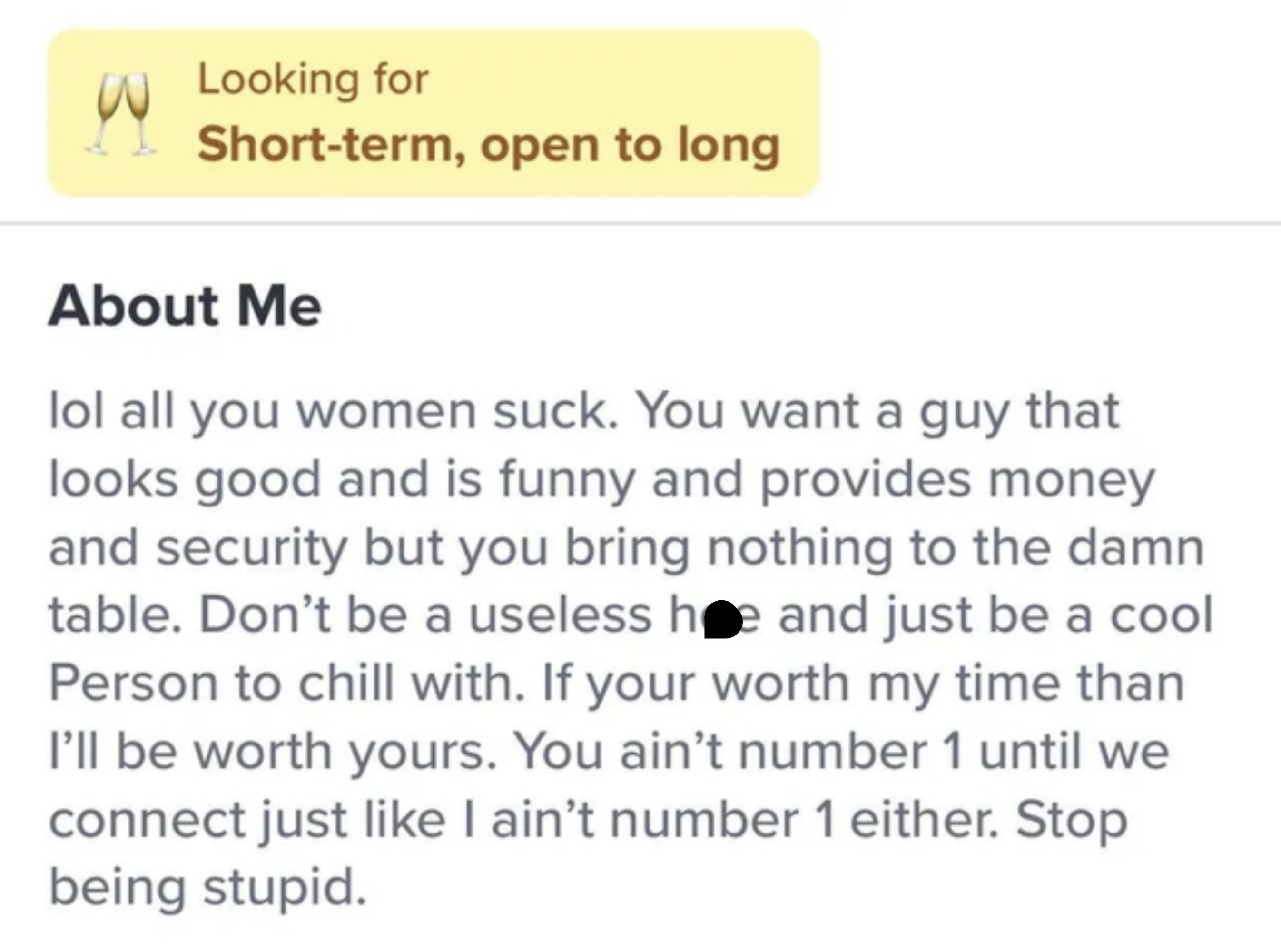 Another misogynistic About Me section, this one says &quot;All you women suck, you want a guy that looks good and is funny and provides money and security but you bring nothing to the damn table&quot;