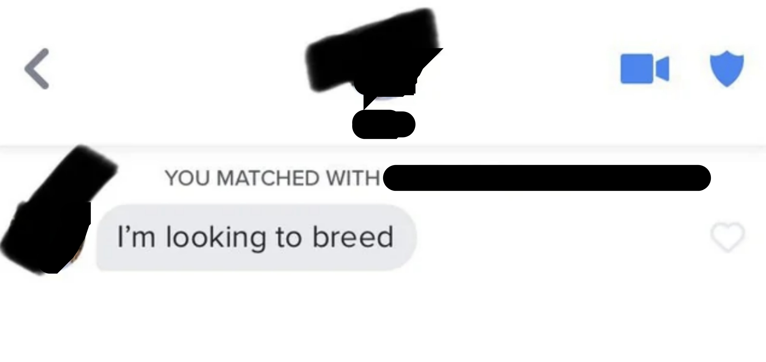 The conversation is one text long and simply says &quot;I&#x27;m looking to breed&quot;