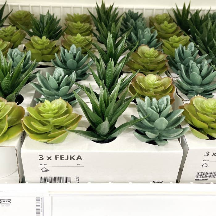 IKEA（イケア）の高見えインテリア「FEJKA フェイカ 人工観葉植物 鉢カバー付き 室内/屋外用 多肉植物」