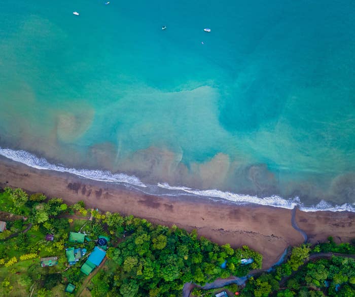 Aerial view of clear bay and sandy shoreline with trees lining the beach