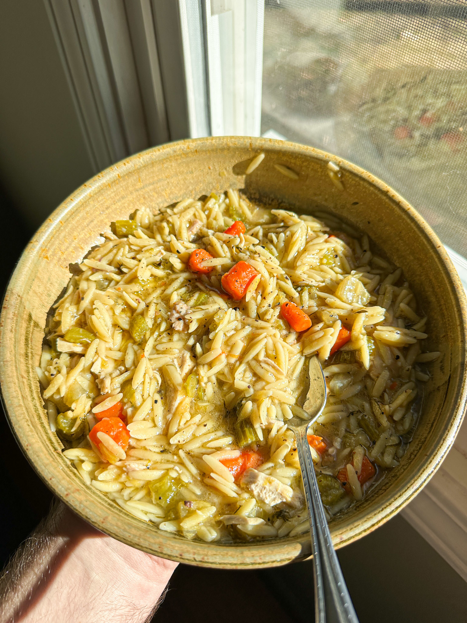 Bowl of chicken, veggies, and orzo in broth