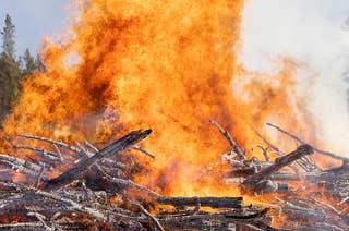 A closely cropped photo of a flame reaching up into the sky with bright yellows and deep oranges as it turns the wood pile below into white and gray charcoal