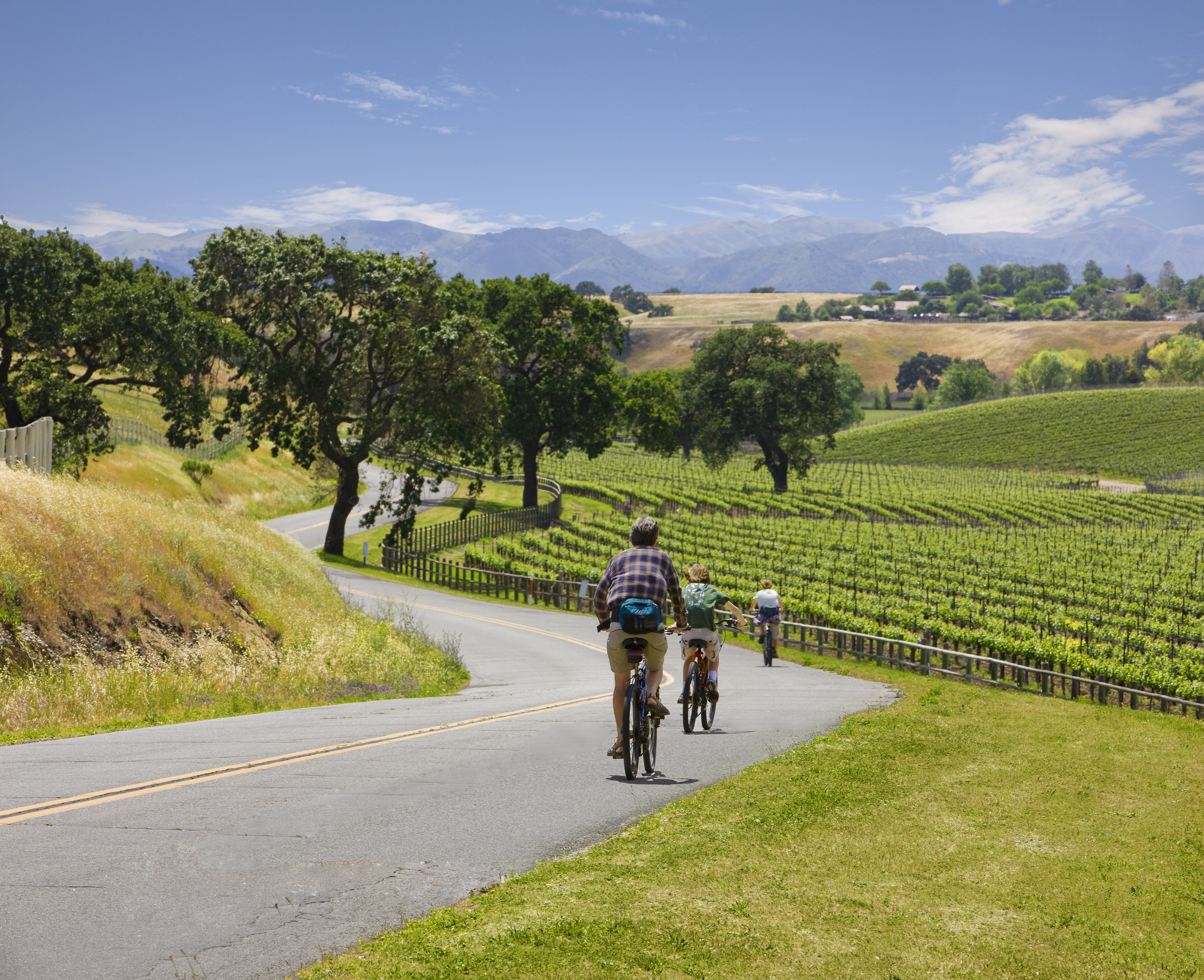 A Santa Barbara biking trail that runs alongside a winery