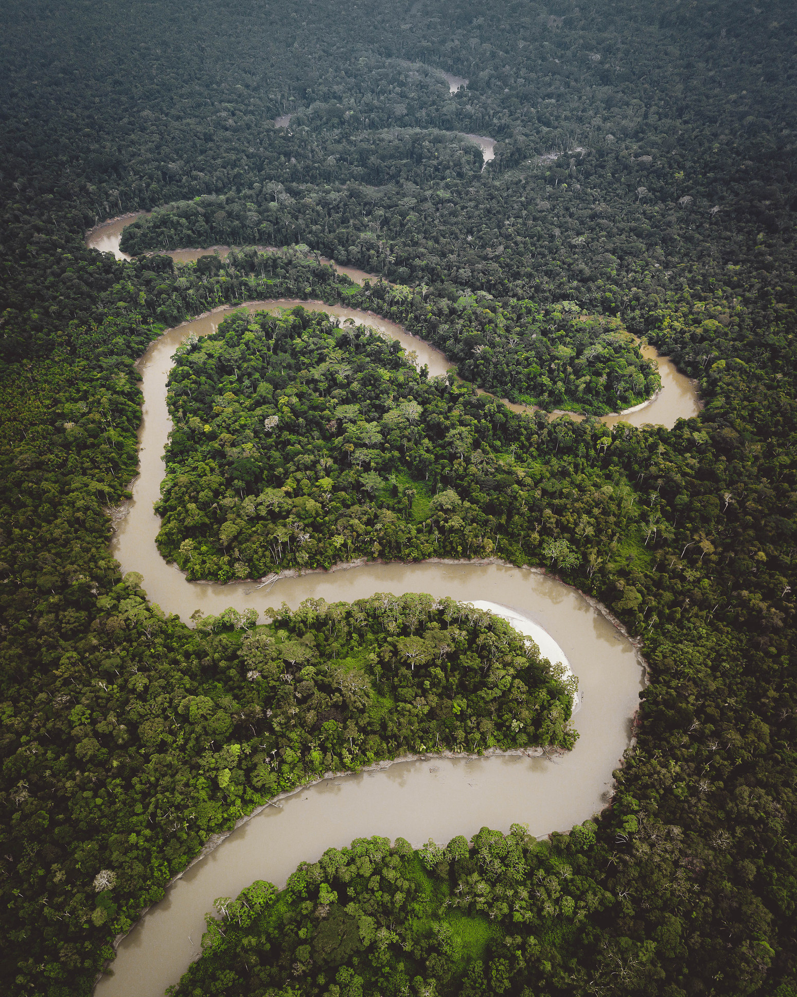 Aerial of Ecuadorian Amazon river basin.