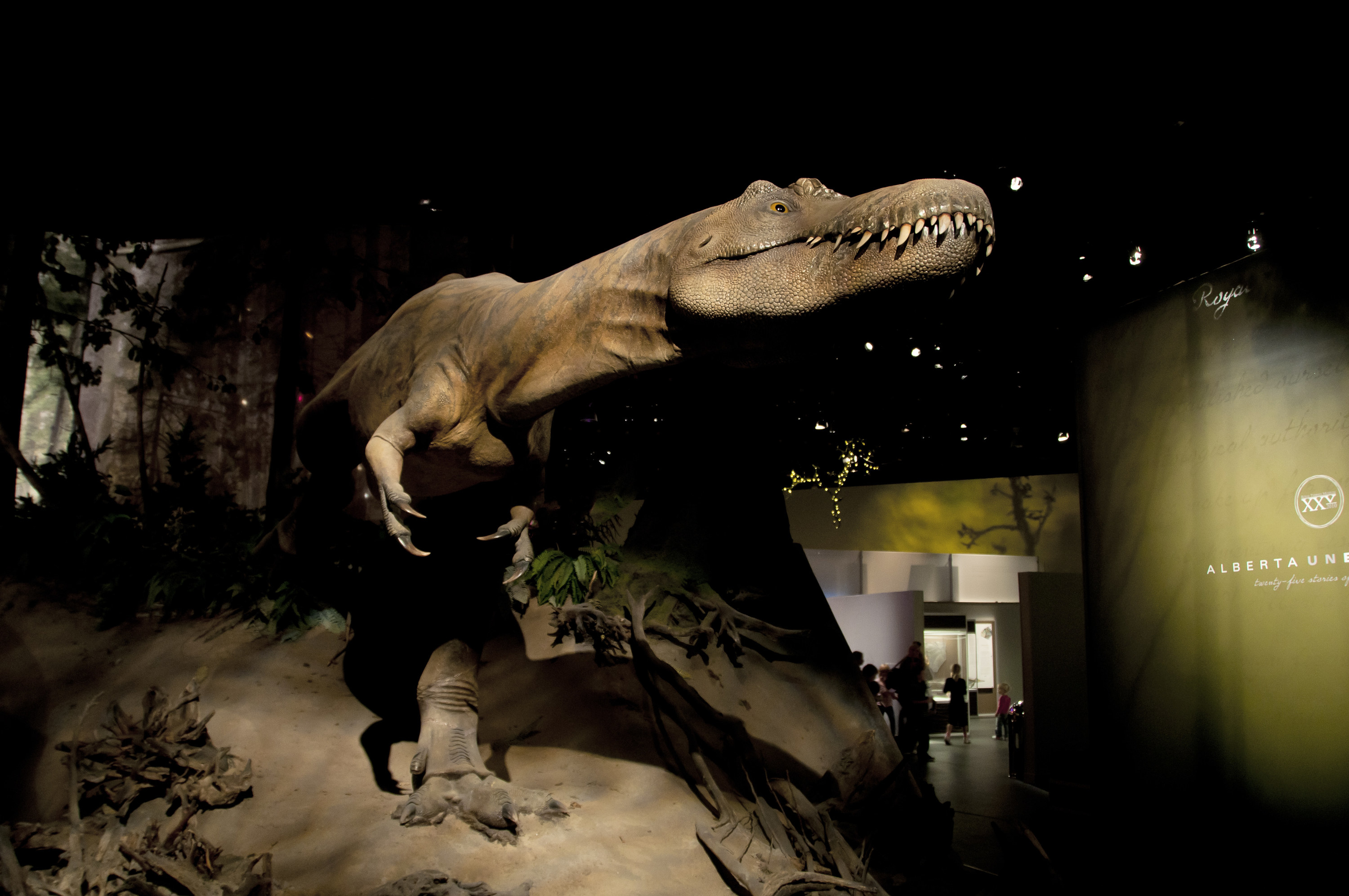A dino in The Royal Tyrrell Museum