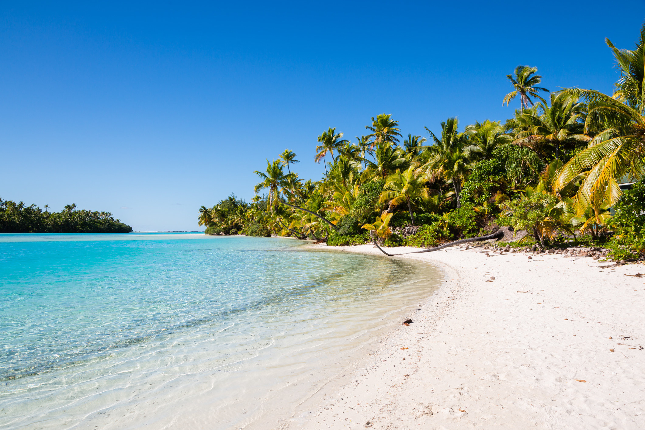 Crystal blue water and a beach.