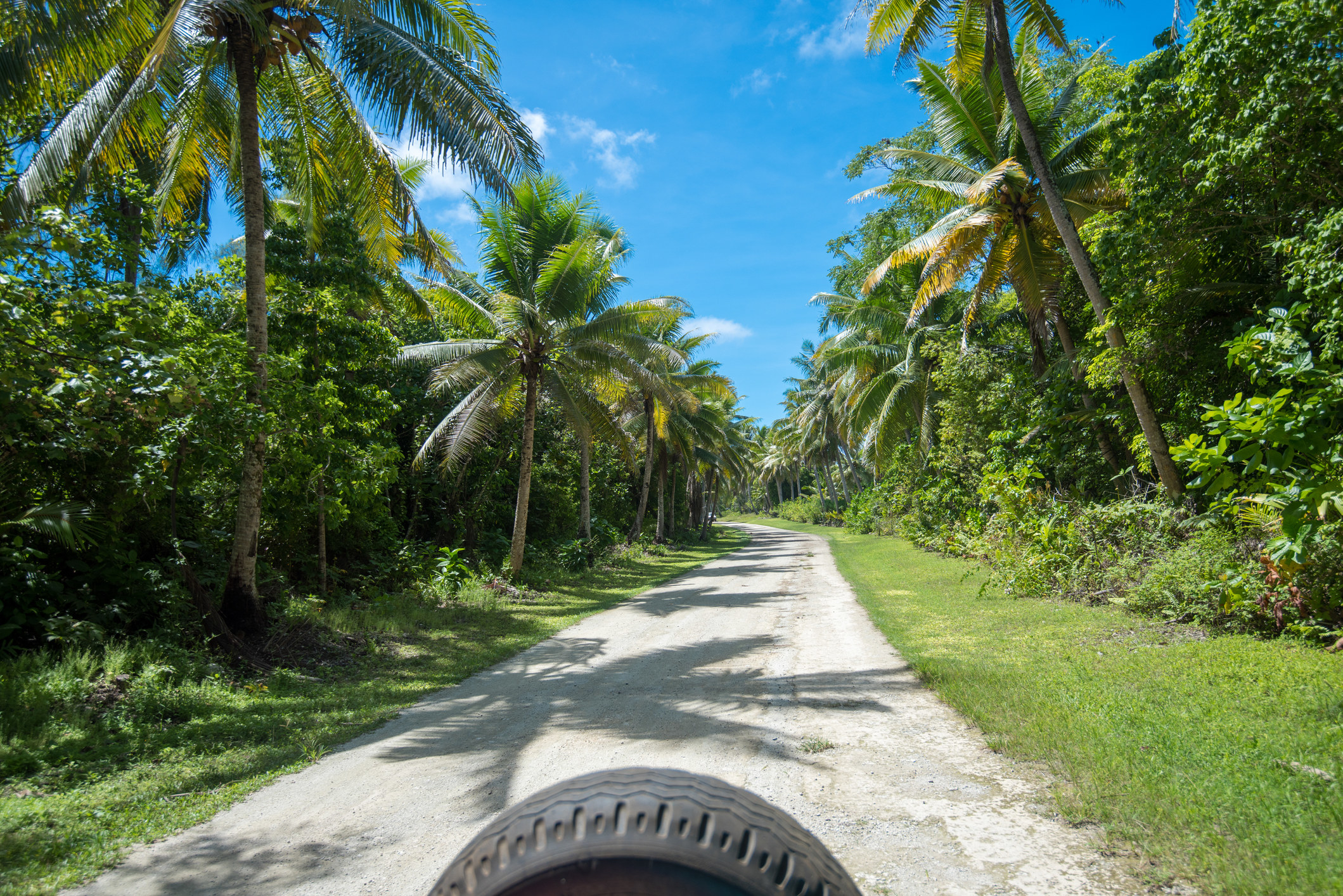 A wide open road with tropical trees.