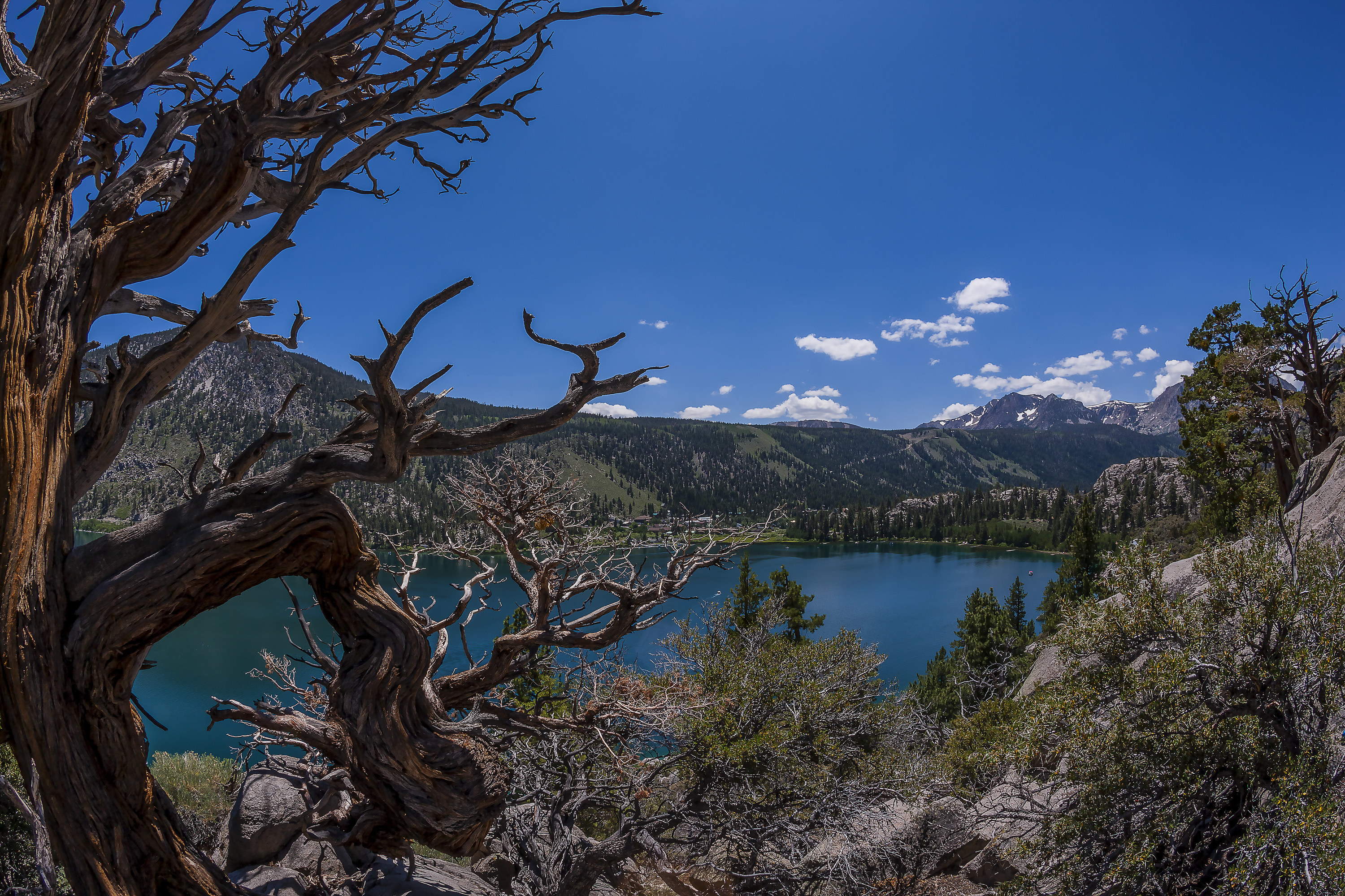 June Lake, California