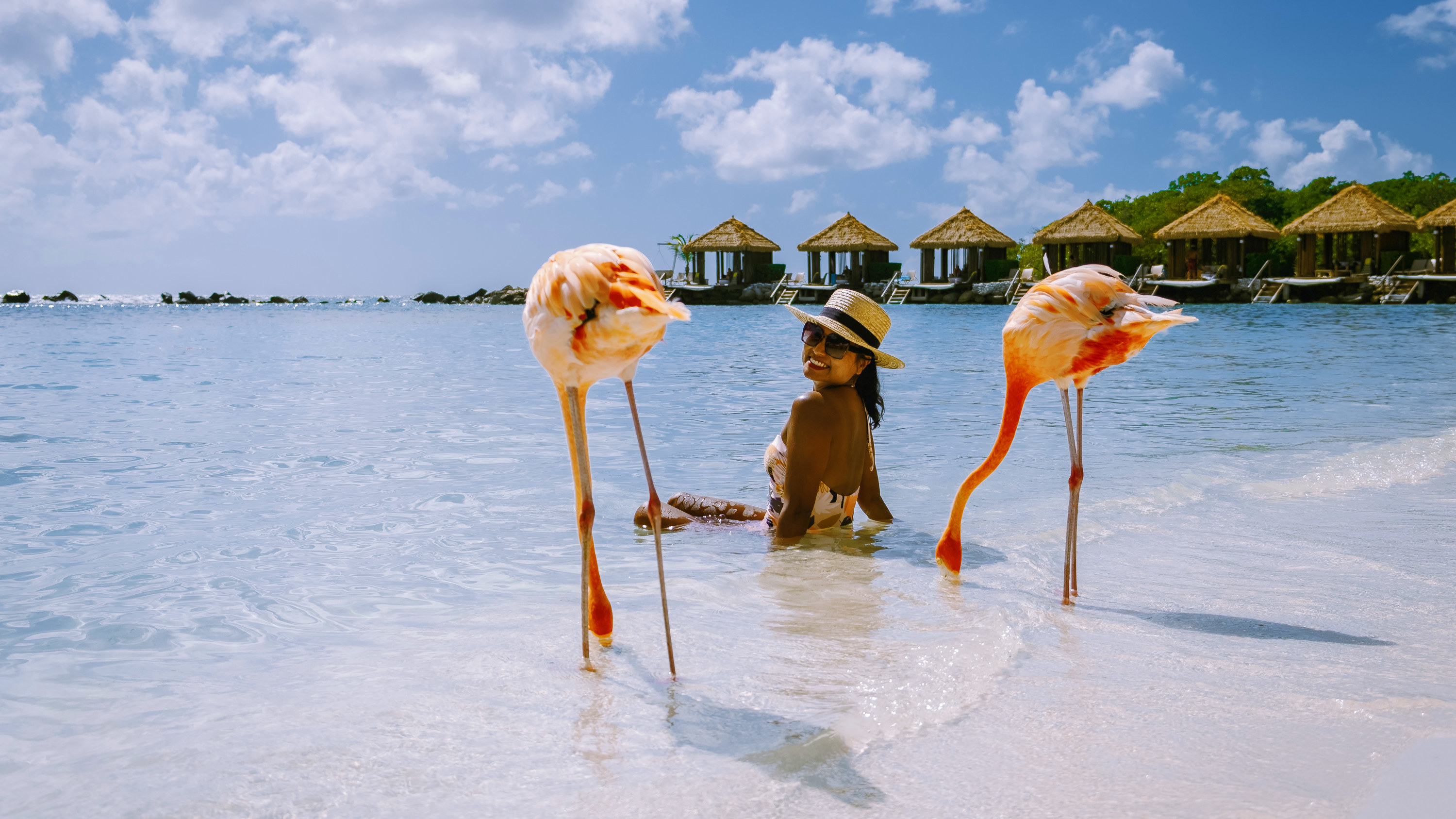 Woman seated in water between two flamingos