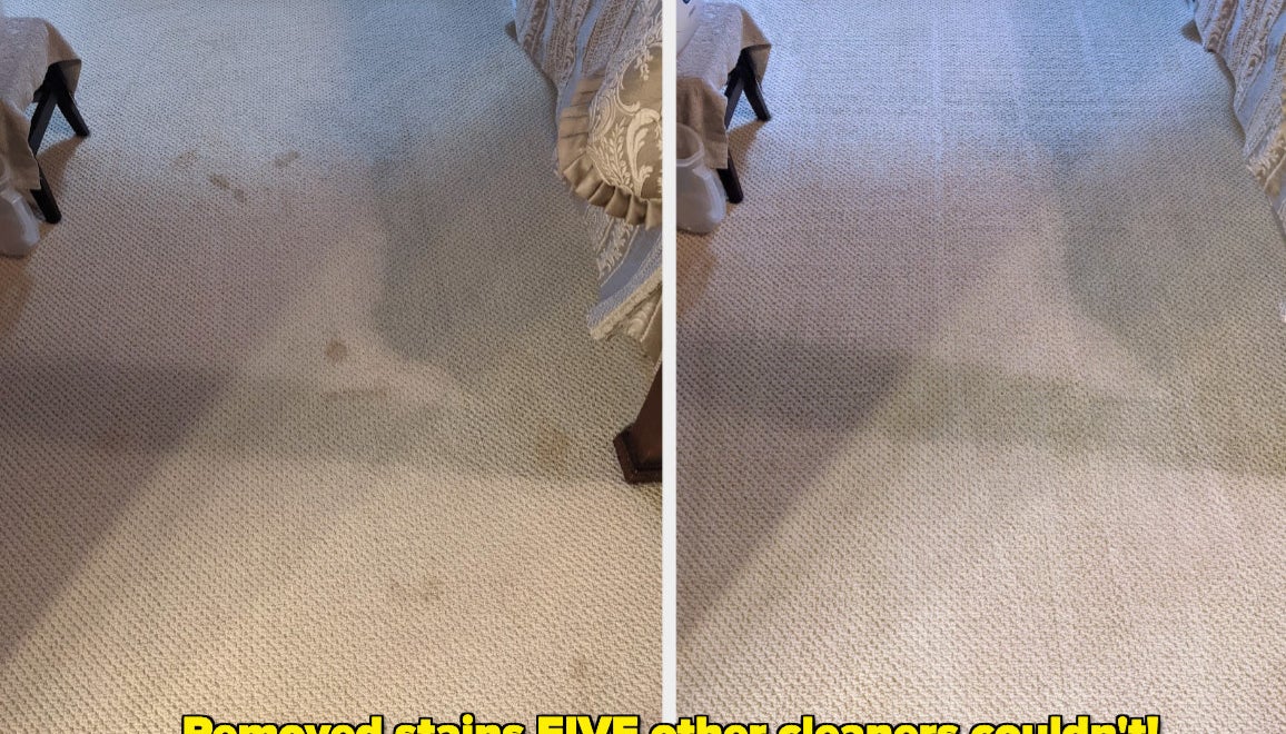 Reviewer&#x27;s carpet covered in cat vomit stains/same carpet without stains &quot;removed stains five other cleaners couldn&#x27;t&quot;
