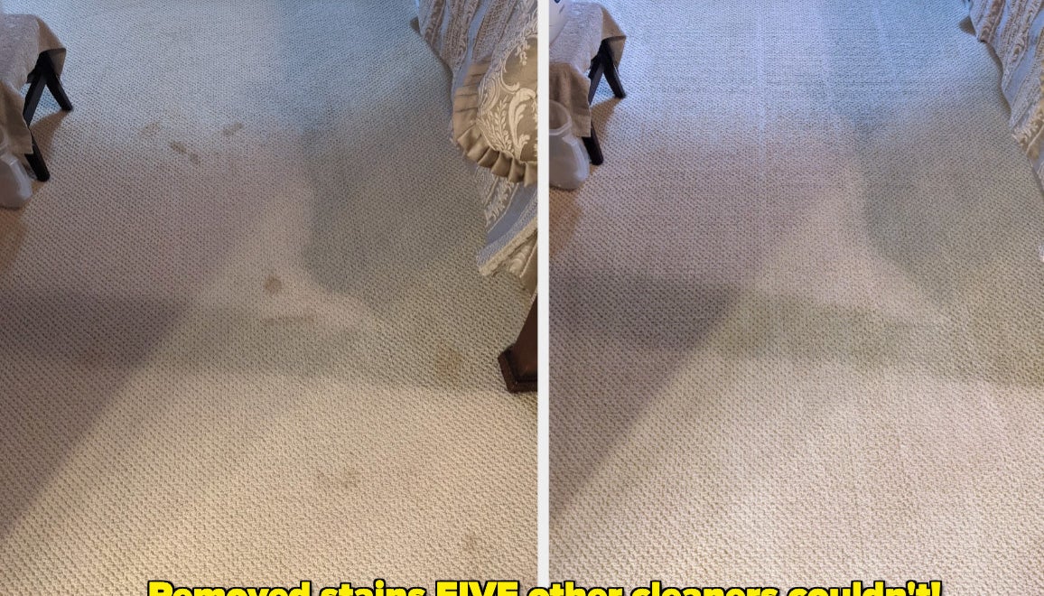 Reviewer's carpet covered in cat vomit stains/same carpet without stains "removed stains five other cleaners couldn't"
