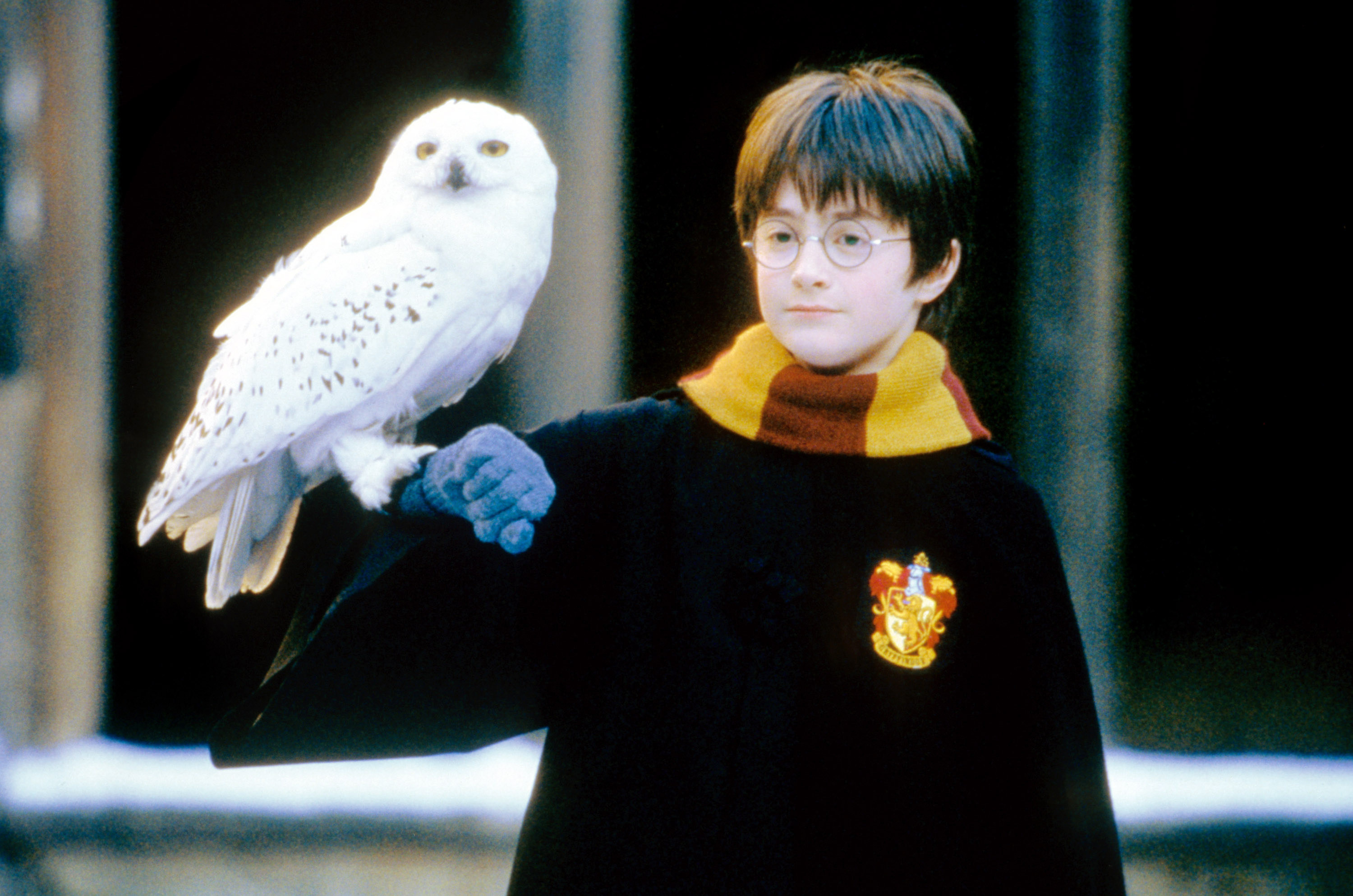 Daniel Radcliffe in Harry Potter and the Sorcerer&#x27;s Stone