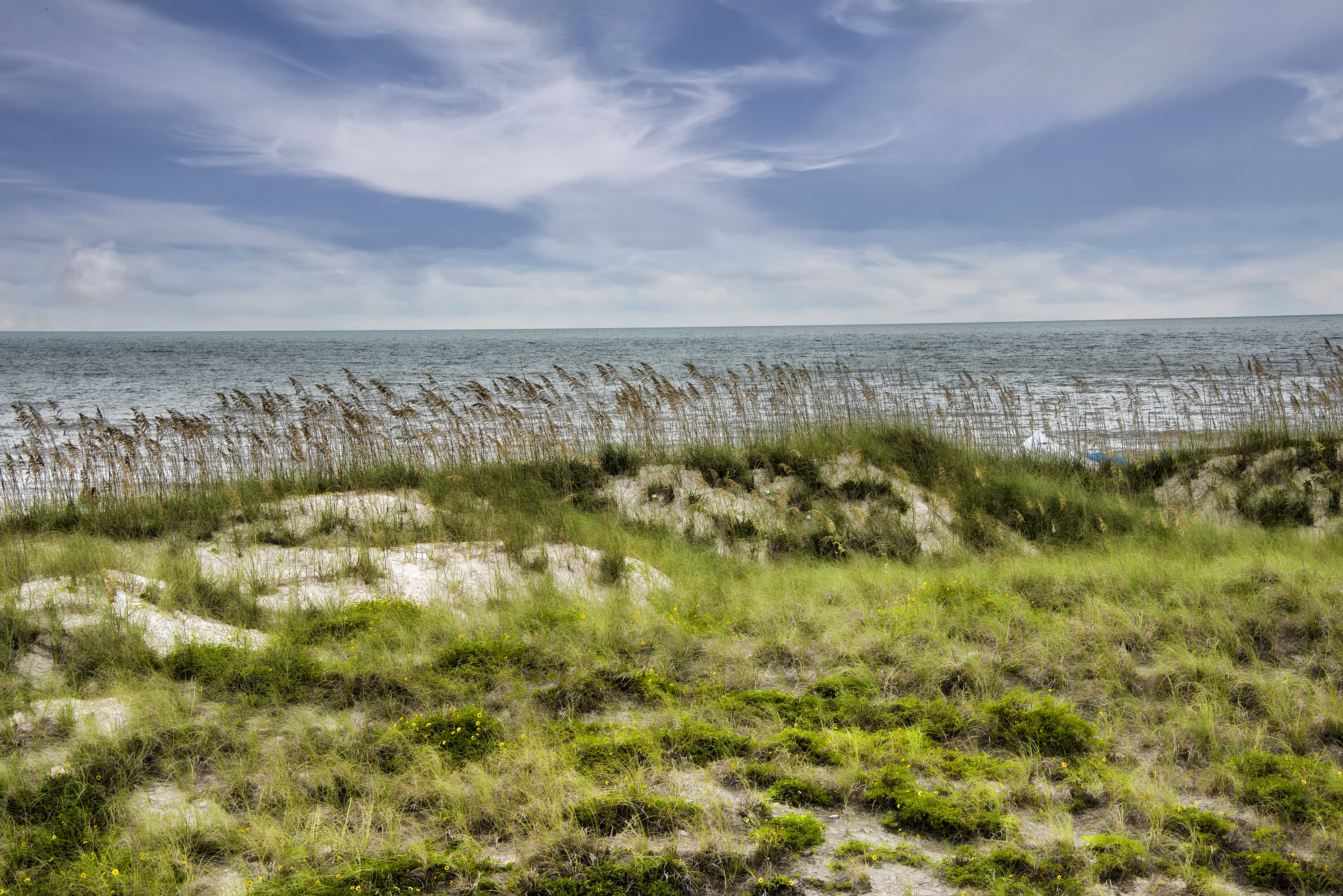 Amelia Island