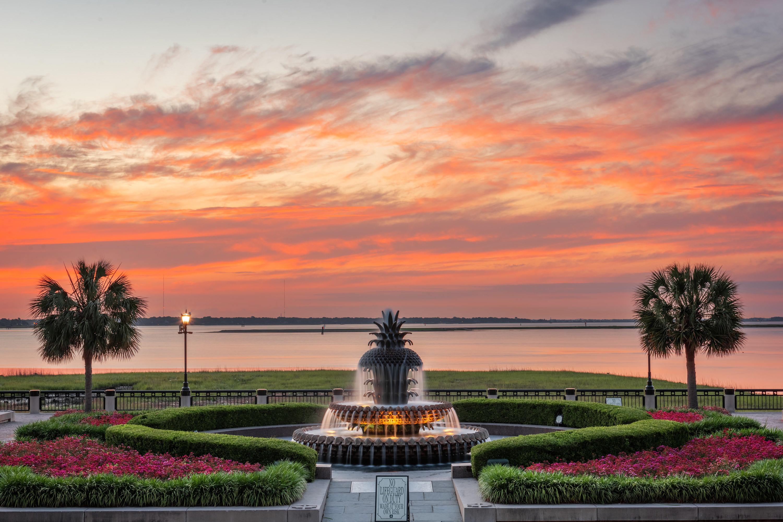 Palm trees and fountain and hedges on the edge of water at sunset