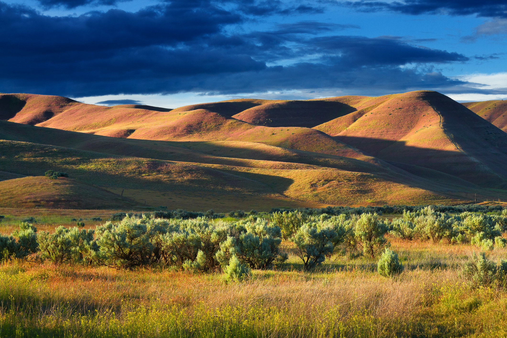 Rolling hills and mountains of Idaho