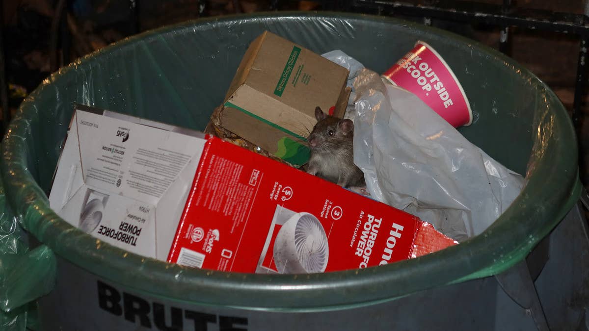 Gammeeok, a Korean restaurant in New York City, was shut down after a couple filed a lawsuit claiming they found a dead rat in the soup delivered to their home.