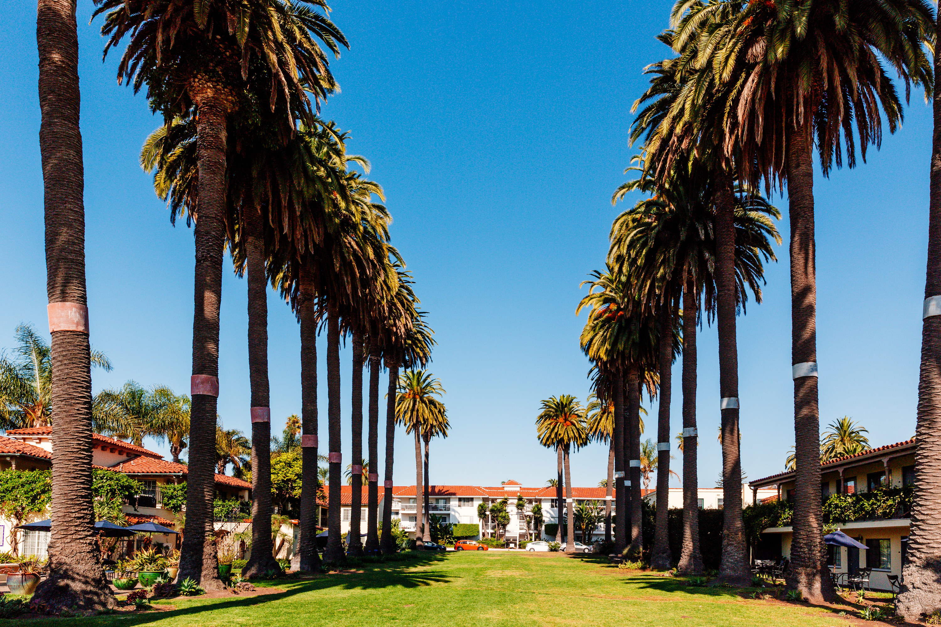 Palm trees and a green lawn in front of terra-cotta roofed buildings in Santa Barbara.