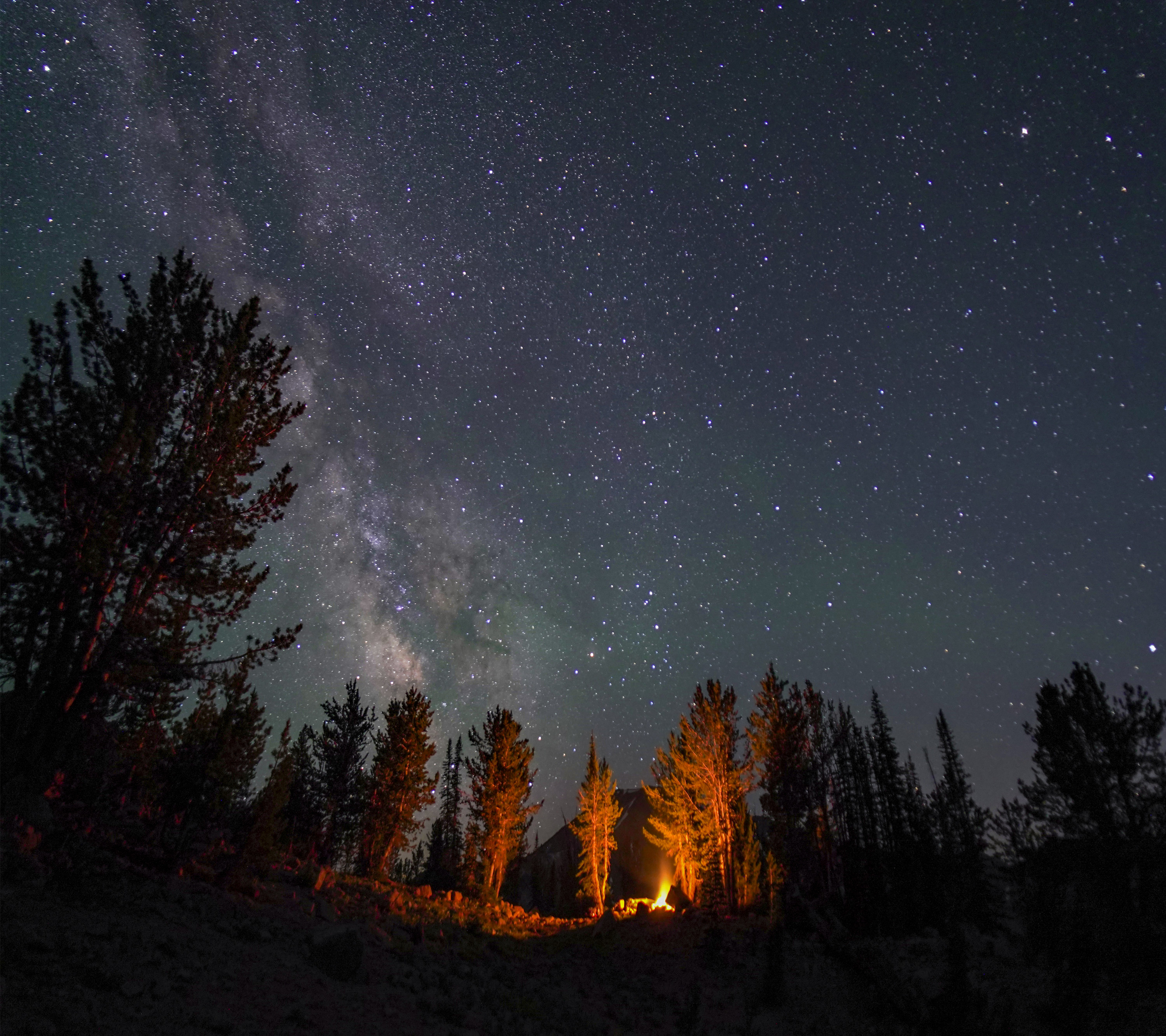 Stars and the milky way above a dark ring of forest in White Cloud Loop, Idaho