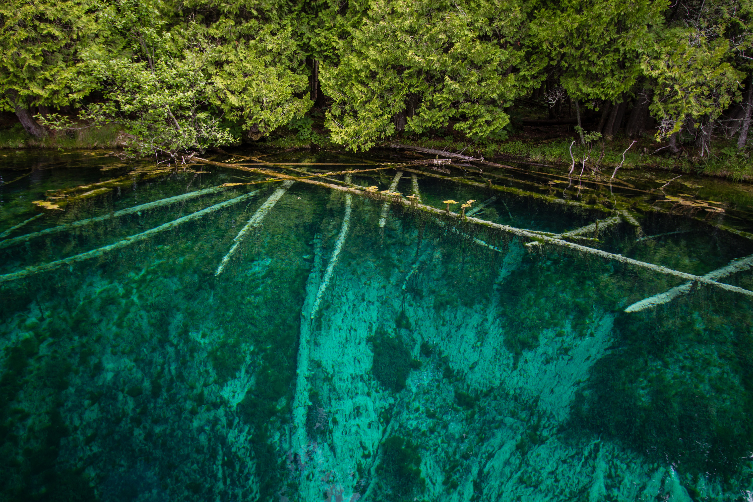 Clear water in a lake